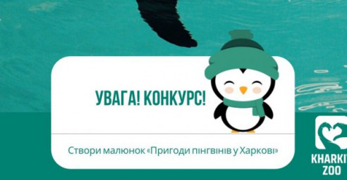 Харьковский зоопарк объявил конкурс рисунков о пингвинах
