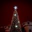 Открытие Новогодней елки и домика Деда Мороза