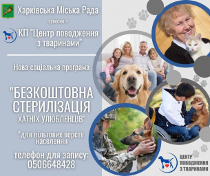 Безкоштовна стерилізація котів та собак в м.Харків