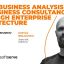 From Analysis to Consultancy through Enterprise Architecture