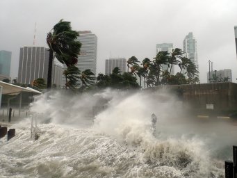 Климатологи назвали главную причину возросшего числа ураганов