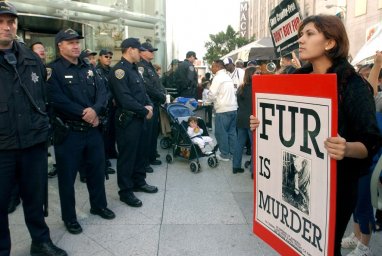 В Сан-Франциско запретили продавать мех