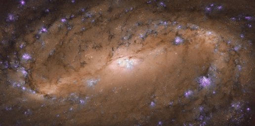 «Хаббл» запечатлел потрясающий образец спиральной галактики: NGC 2903