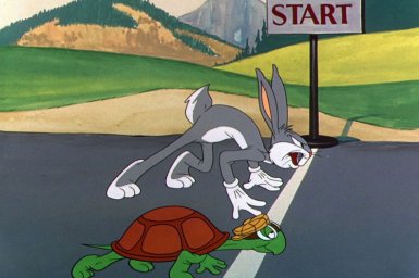 Кто победит в гонке между зайцем и черепахой