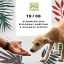Фельдман Экопарк проведет благотворительную акцию «Делай больше!» в помощь бездомным животным