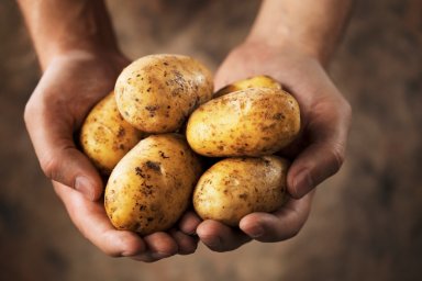 Что такое парадокс картофеля?