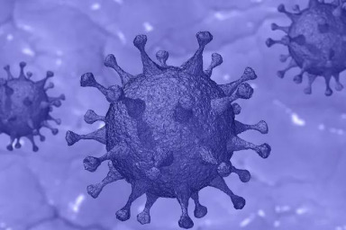 Обнаружены ещё две новые мутации коронавируса